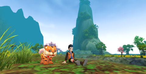 武林外传带什么宠物