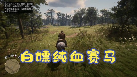 荒野大镖客赛马怎么获得