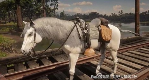 荒野大镖客赛马怎么获得[图1]