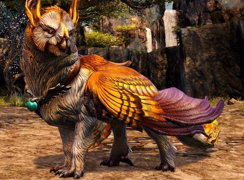 激战2高贵有什么用[图2]